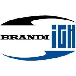BRANDI IGH Salzgitter GmbH logo