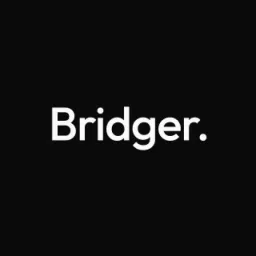 5 TMGBridger GmbH logo