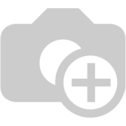 Webmentix logo