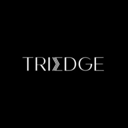 Triedge Investments logo