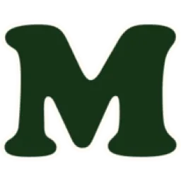 Mood logo