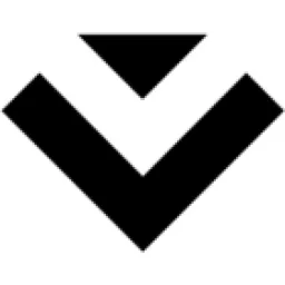 VYNYL LLC logo