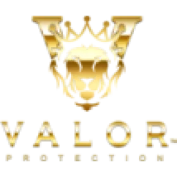 Valor Protection Safety Agency logo