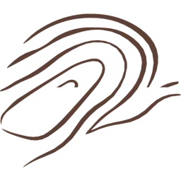 Holzkern logo