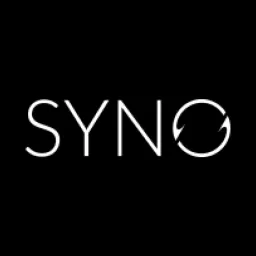 SYNO Consulting Group logo