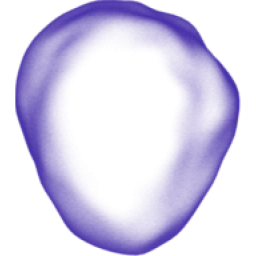 Prolaio logo