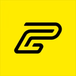 PUBITY GROUP logo
