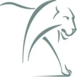 Lion Capital logo