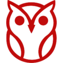 NightOwl logo