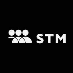 STM Labs logo