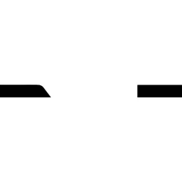 Stint logo