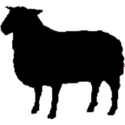 Shepherd Express