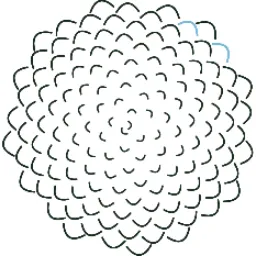 Conifer logo