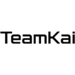 TeamKai logo