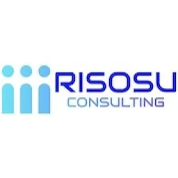Risosu Consulting LLP