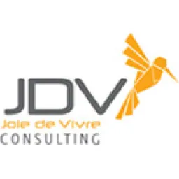 JDV Consulting logo