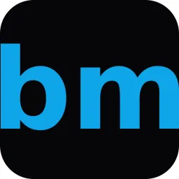 Bigmantra logo
