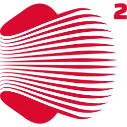 D Square Consulting Services logo
