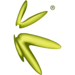 Konew FinTech Corporation Limited logo