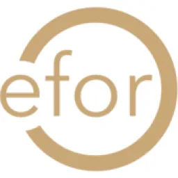 efor-group logo
