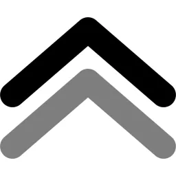 SOURCESTACK IT SERVICES PRIVATE LIMITED logo