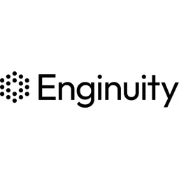 Enginuity AI logo