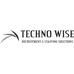 Techno Wise logo