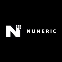 Numeric Technologies India logo