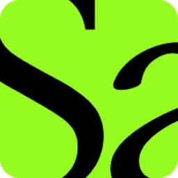 Saltmine USA Inc. logo