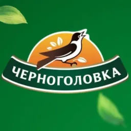 Chernogolovka logo