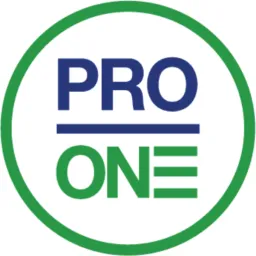 Professional One logo