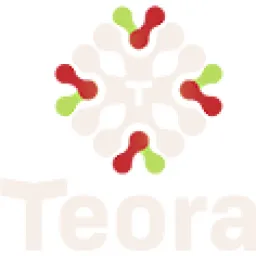 Teora Pte logo