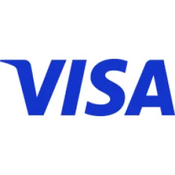 Meet Visa. A network working for everyone. logo