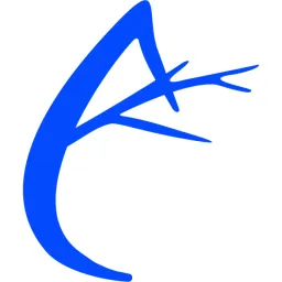 Anvil Diagnostics logo