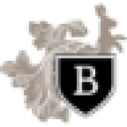 All rights reserved logo