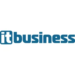 it business