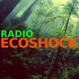 RADIO ECOSHOCK