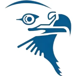 BSO Services logo