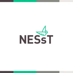 NESsT logo