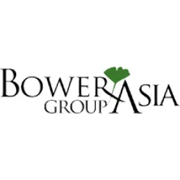 BowerGroupAsia logo