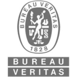 Bureau Veritas India logo