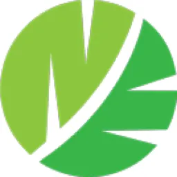 N&E Innovations logo
