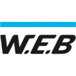 W.E.B International logo