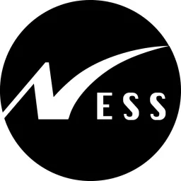 Ness Technologies Israel logo