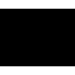 Capital District YMCA logo