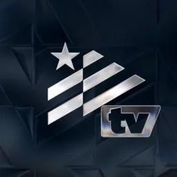 Botafogo de Futebol e Regatas logo