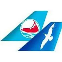 capeairpilots logo