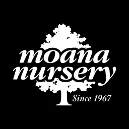 Moana Nursery logo