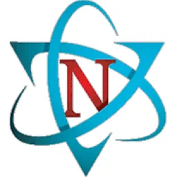 Nalley Consulting logo