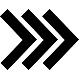 PSS logo